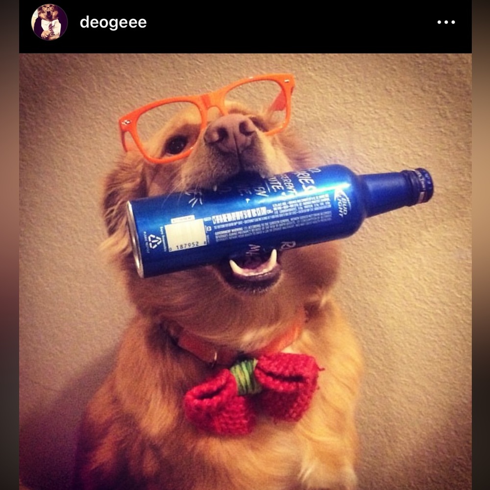 This is amazing things from DeeOgee ( D O G) customized to you . - Picture 8 of 11
